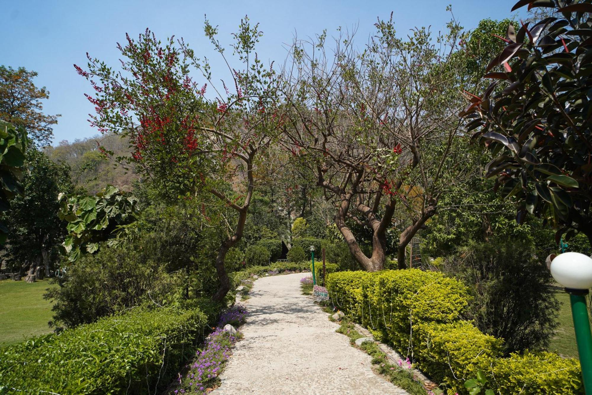 The Solluna Resort Garjia Dış mekan fotoğraf